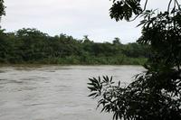 Baracoa - Rio Toa 