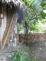 Baracoa