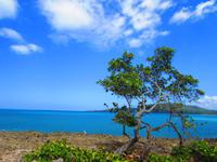 Baracoa