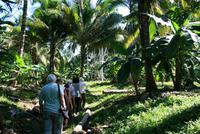 Baracoa_Wanderung