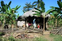 Baracoa_Wanderung