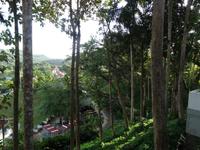 Blick auf das Dorf Las Terrazas