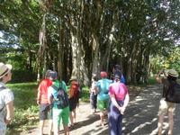 Botanischer Garten