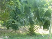 Botanischer Garten