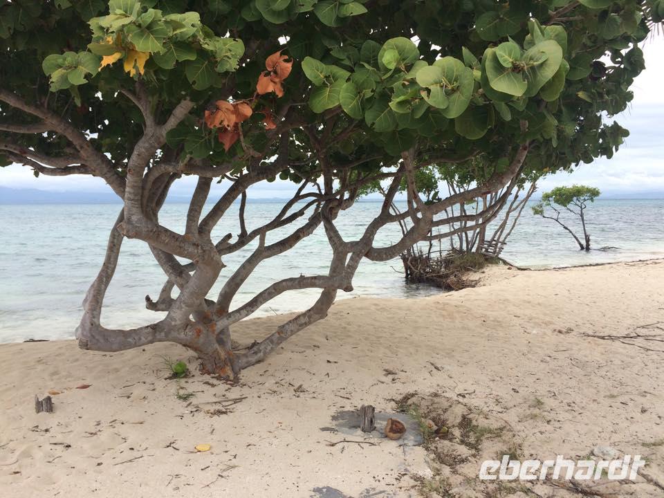 Cayo Macho 