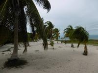Cayo Macho