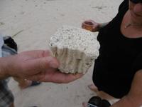 Cayo Macho