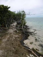 Cayo Macho