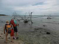 Cayo Macho