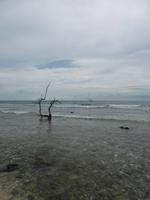Cayo Macho