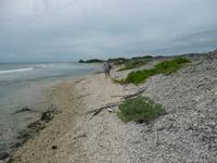 Cayo Macho