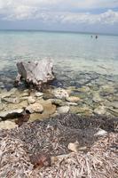 Cayo Macho