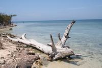 Cayo Macho