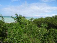 Cayo Santa Maria