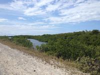 Cayo Santa Maria12