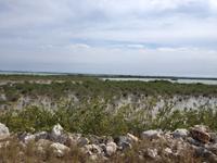 Cayo Santa Maria13