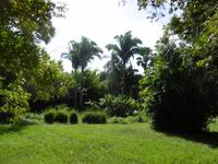 Cienfuegos
