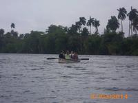 DSCI0096