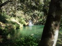 Der Badeteich im Urwald