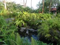 Der Hotelgarten