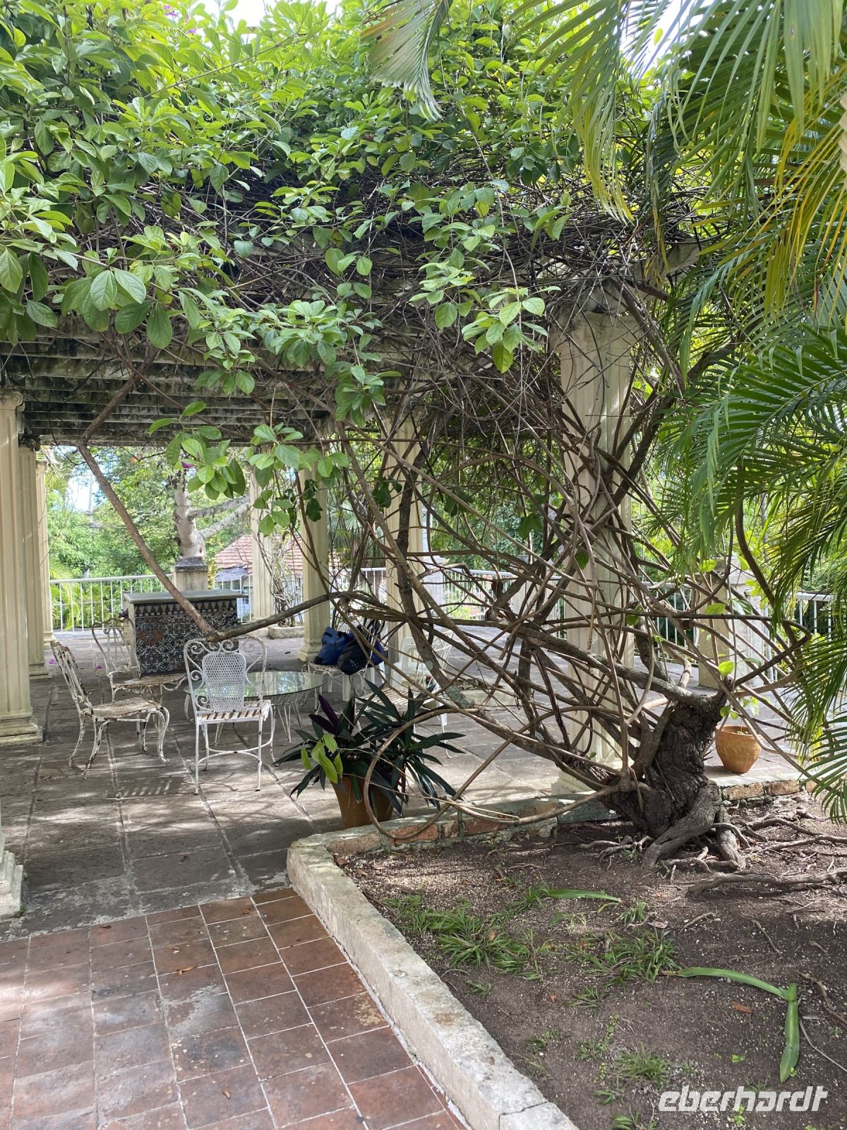 Der Park der Finca
