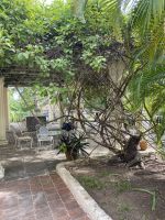 Der Park der Finca