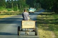Entlang des Weges