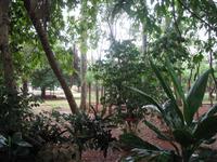 Finca 