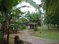 Finca 