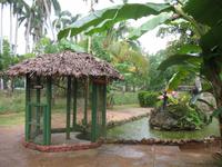 Finca 