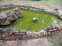 Finca 
