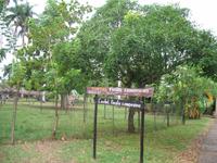 Finca 