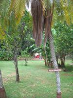 Finca 