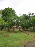 Finca 