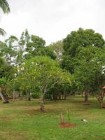 Finca 