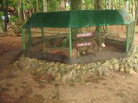Finca 