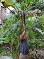 Finca Duaba