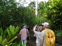 Finca Duaba