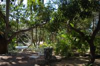 Finca La Vigia