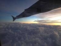 Flug