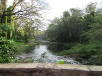 Havanna (12)
