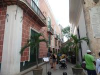 Havanna43