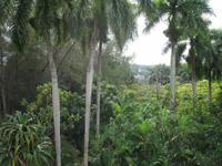 Hemingway-Museum 