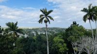 Hemingways ehemaliger Wohnsitz am Rand von Havanna