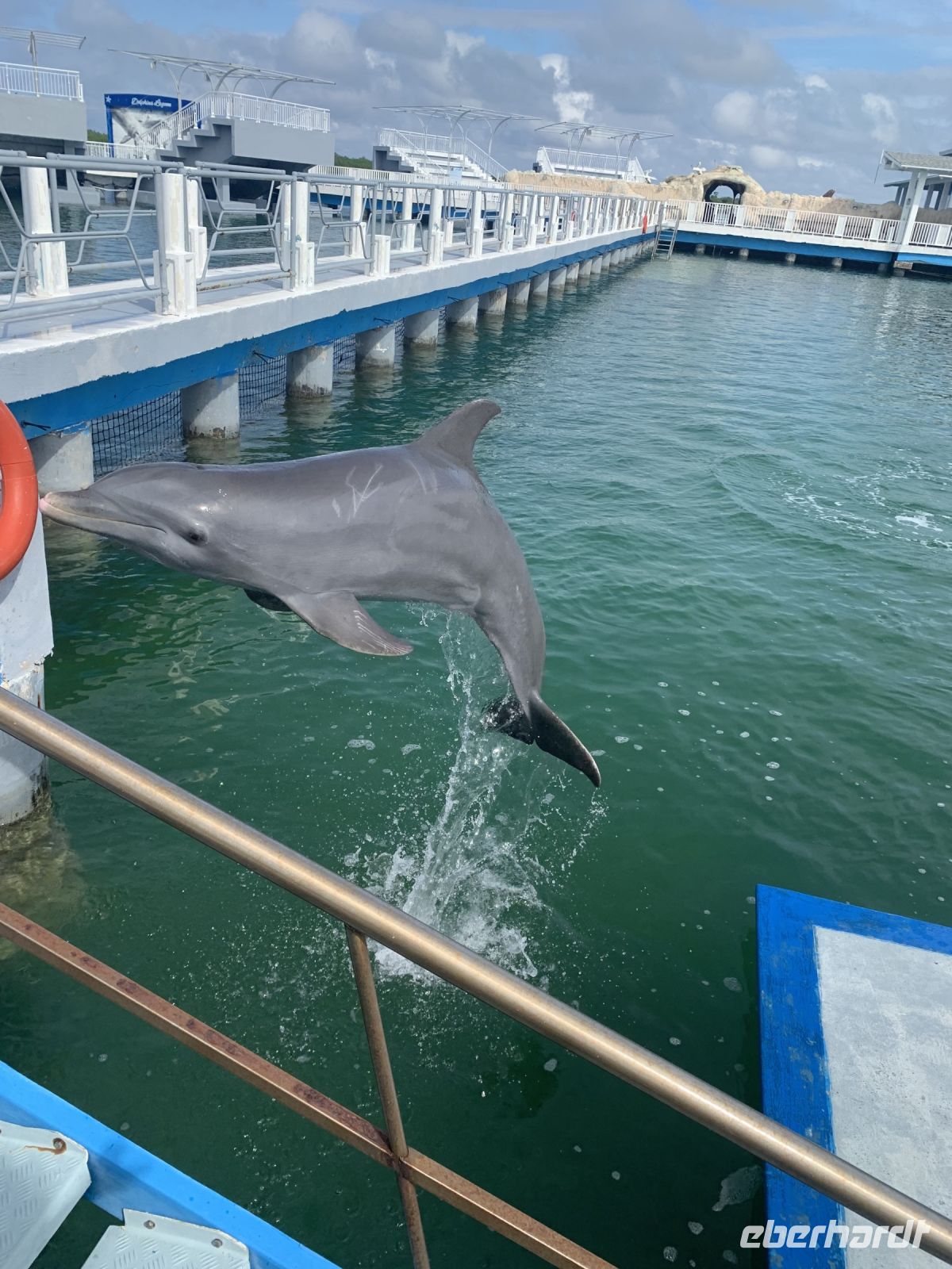 Im Delfinarium