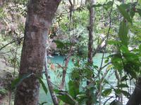 Im Parque Guanayara