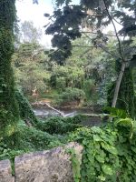 Im Stadtpark von Havanna