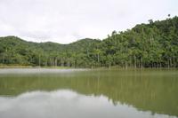 In Las Terrazas