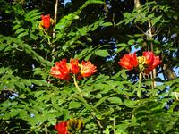 Indianer-Hoehle (1)
