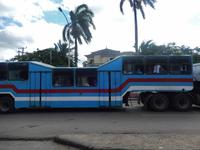 Kamelbus